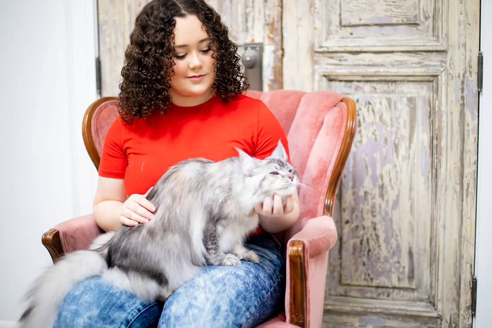 Mythic Maine Coons