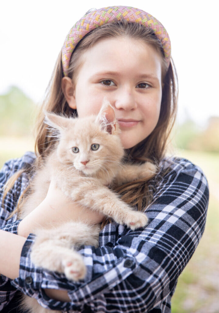 Our Family Session, Melody